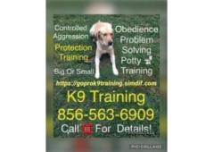 Dog Puppy Control NJ